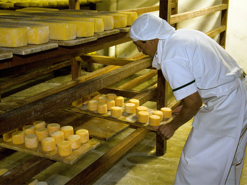 Fábrica de quesos